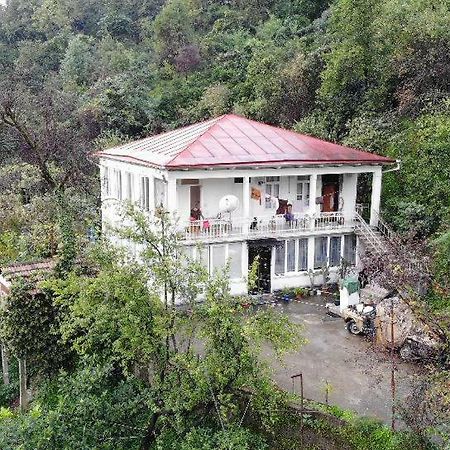 Guest House And Cellar Winery In Ortabatumi Batumi Georgia Екстериор снимка