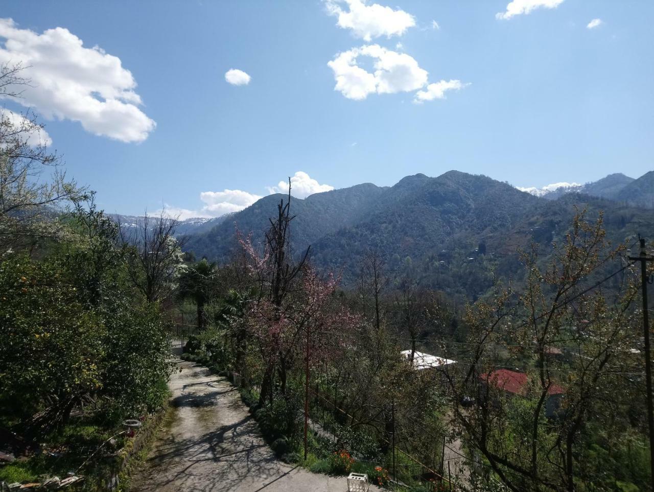 Guest House And Cellar Winery In Ortabatumi Batumi Georgia Екстериор снимка