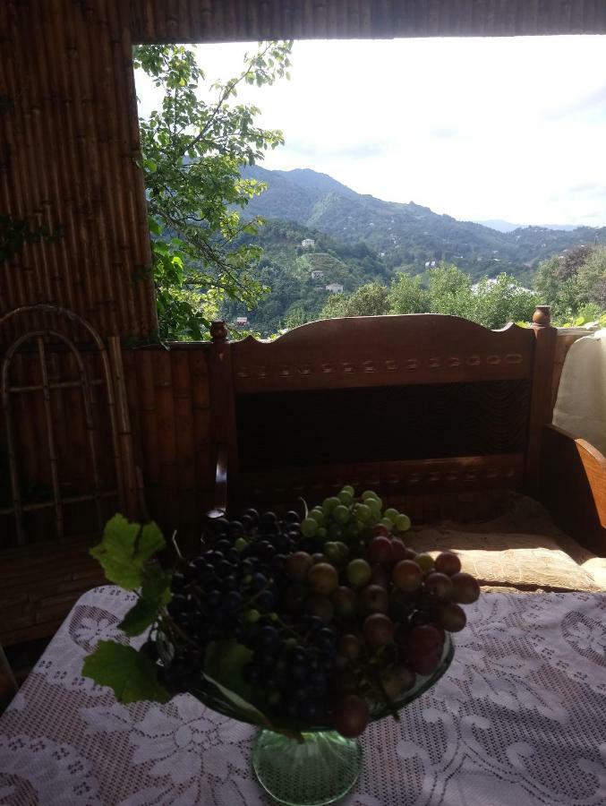 Guest House And Cellar Winery In Ortabatumi Batumi Georgia Екстериор снимка